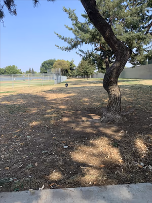 Glenbrook Dog Park